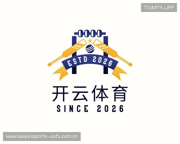 说明开云下载